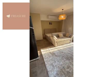 furnished Studio with roof for rent in Villette - new cairo