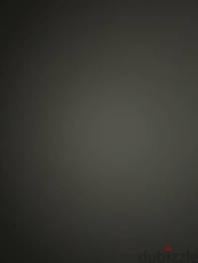 محتاج كلاب تبني