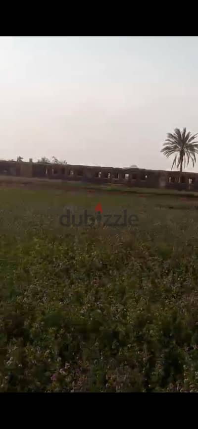 أرض زراعيه للبيع فى ابو صوير فى ابو خروع