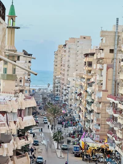 شقه مميزه للبيع بالإسكندرية العجمي شطي النخيل ٦اكتوبر الكيلو٢١ اسكندرية مطروح