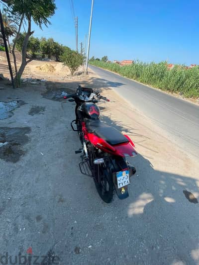 بنها القليوبيه