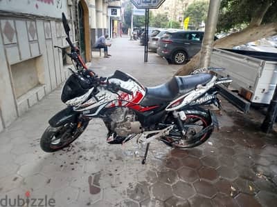 هوجن L 250