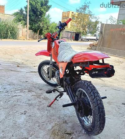 فطوطه للبيع