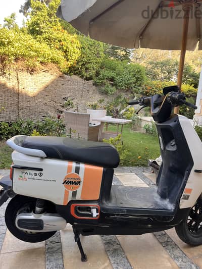 Tailg scooter