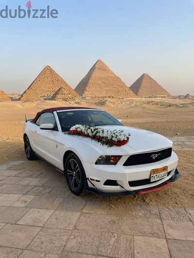 ايجار سيارات