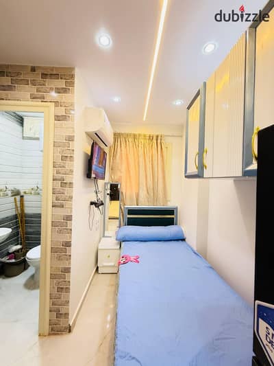 Single Brush VIP Studio for Rent in 6 October City, First District