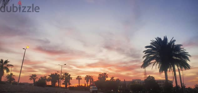 عايزة اى نوع فروخ مفطومين