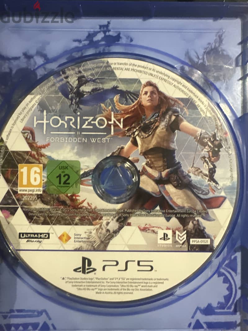 Horizon 1
