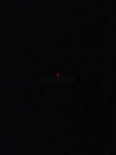 المعاه كلب بيتبول او روت كويس وبسعر معقول يقولي