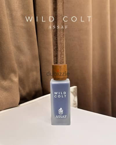 WILD COLT – ASSAF