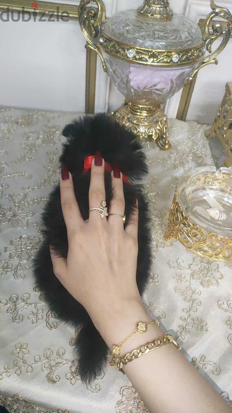 Pomeranian teacup 2