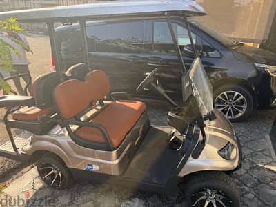 عربية جولف ecar موديل ٢٠٢٥ ٤ راكب