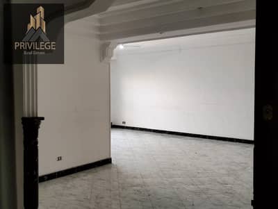 A distinctive apartment for rent in Badr Towers near Maadi Hotel