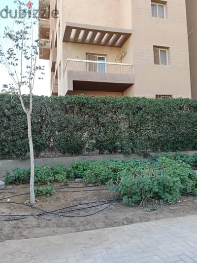 شقة للايجار
