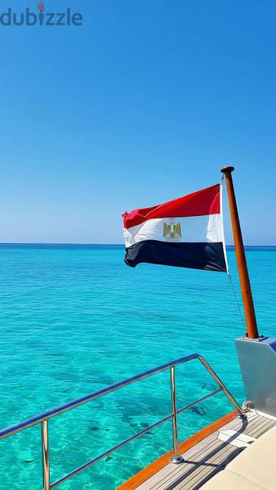 هونر موديل اخر