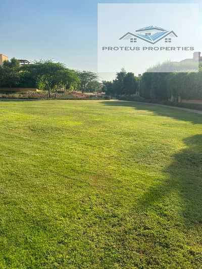 مفيدا القاهره الجديده