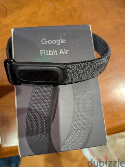 Google Fitbit air