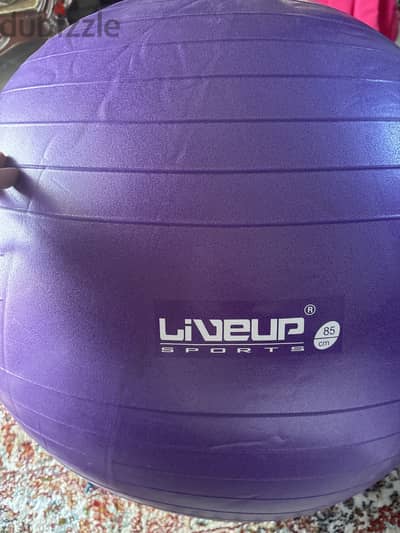 Anti-Burst GYM Ball