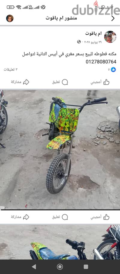 فطوطه للبيع