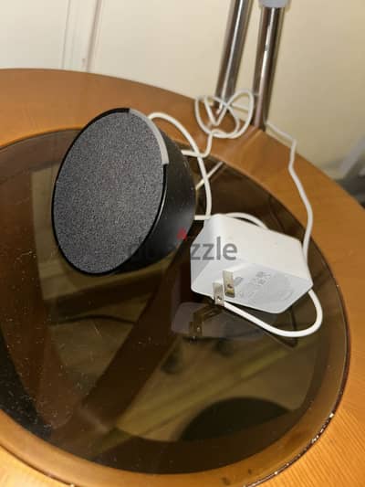 alexa echo pop