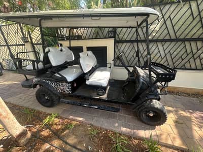 Raya golf car 2021 lithium battery