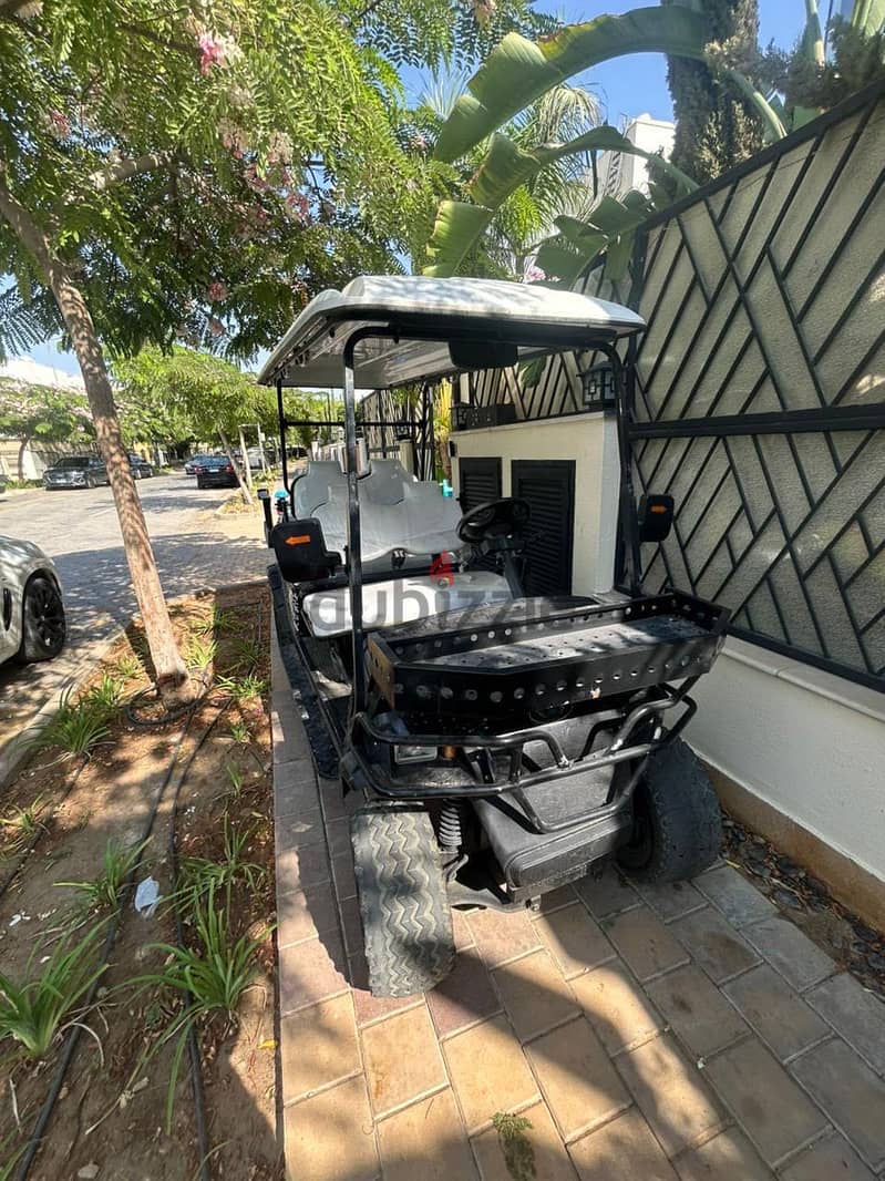 Raya golf car 2021 lithium battery 1