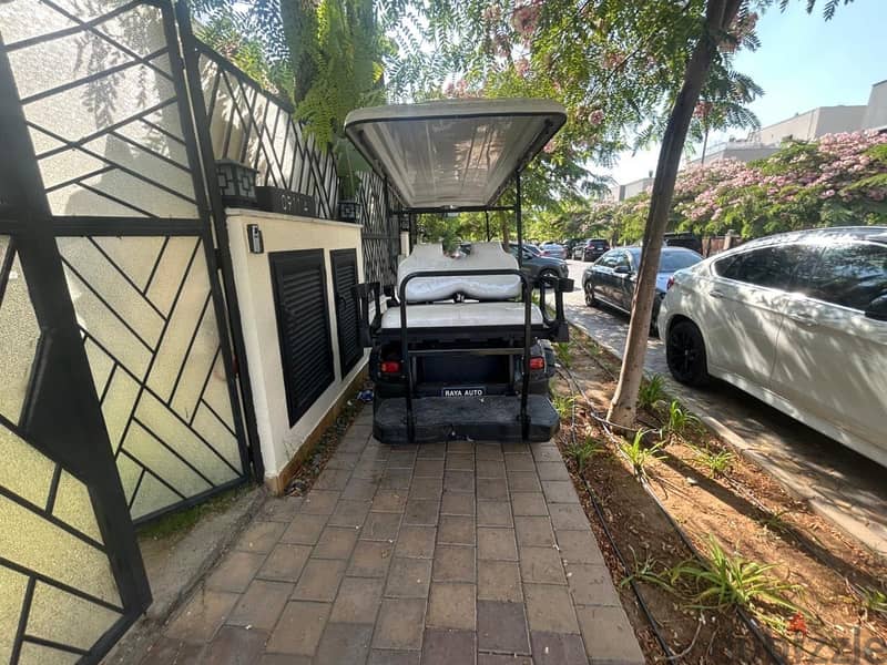 Raya golf car 2021 lithium battery 2
