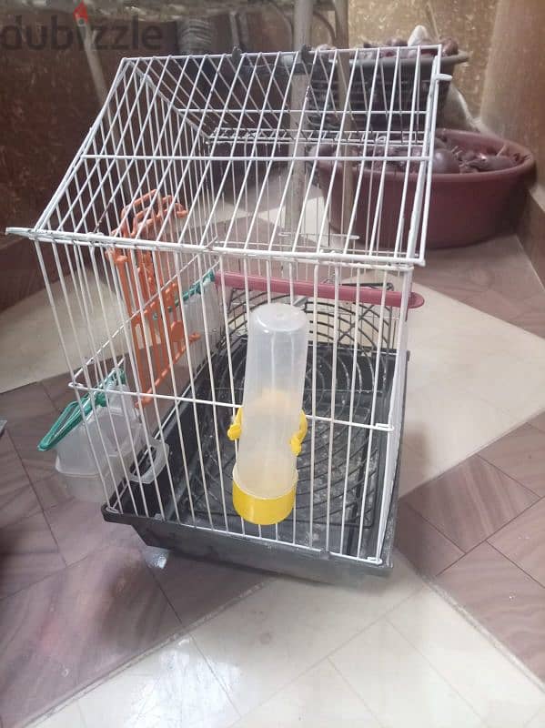 3اقفاص 1