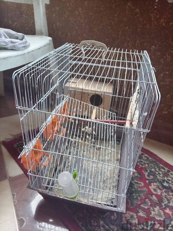 3اقفاص 5