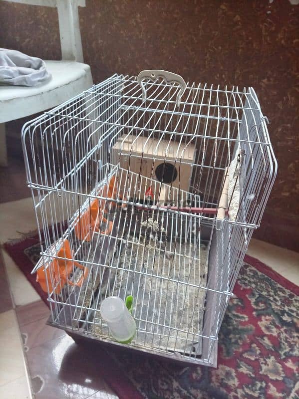 3اقفاص 6