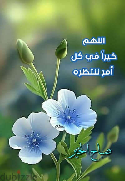 عفش بيت كامل