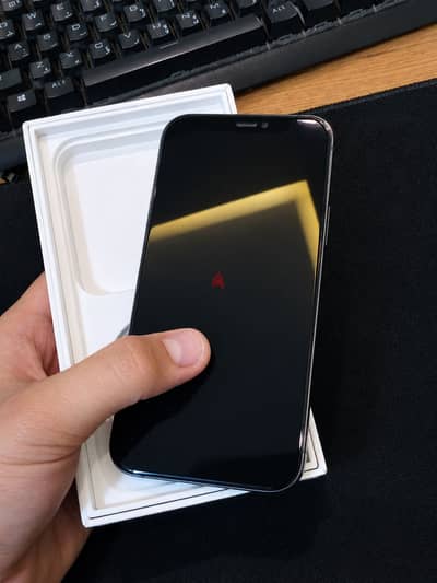 iPhone 12