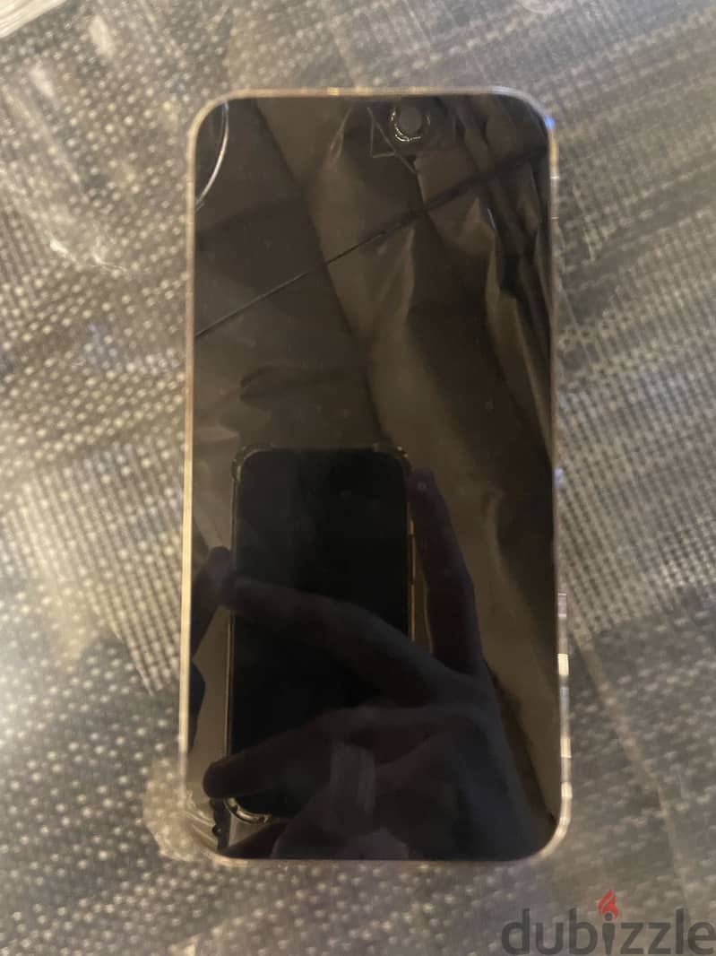 Apple - iPhone 13 Pro Max 1