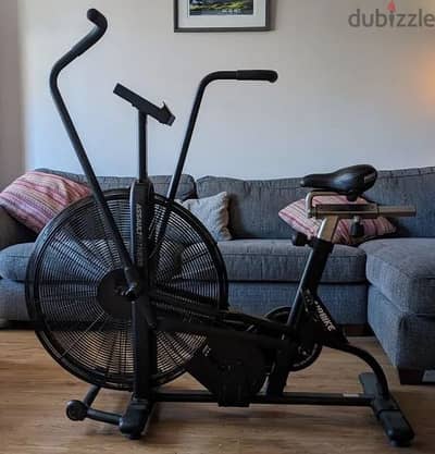 Assault air bike classic
