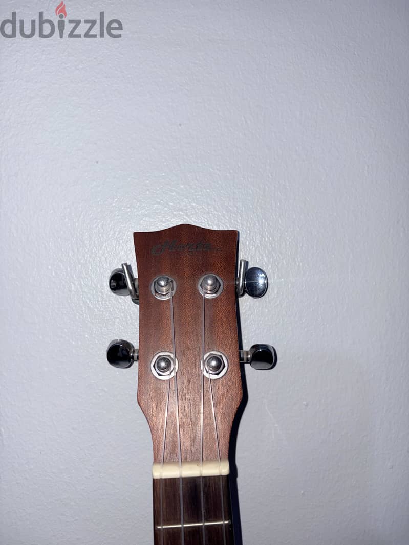 Ukulele 1