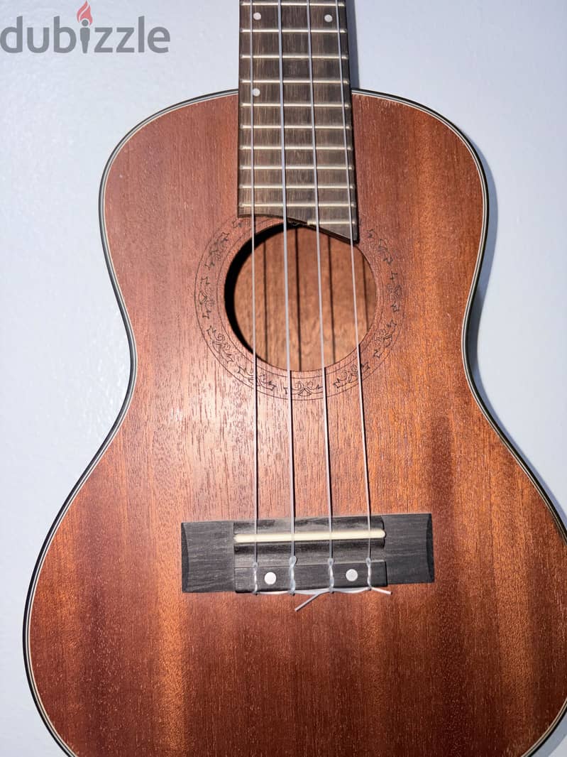 Ukulele 2