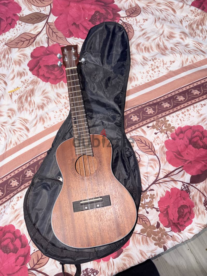 Ukulele 4