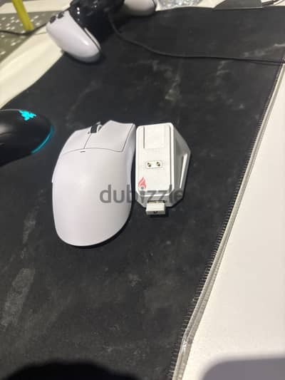 Mouse attack shark x11