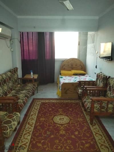 Furnished apartment for rent 6 months for a family or a groom or a company, room and hall, kitchen, bathroom, air-conditioned, inside a compound with security and guard 24 hours, there are swimming pools in Alexandria, Al Agamy, Kilometre 21, at the distinguished location of the Palm Beach.