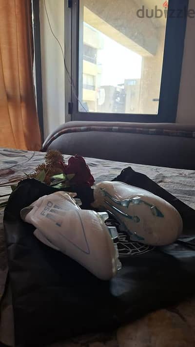 استارز f50