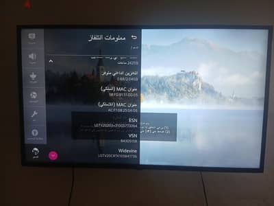 LG tv