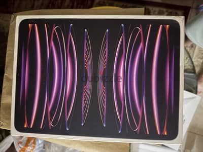 iPad Pro 11 inch M2 Cellular + WiFi 128 + Box + Battery 81%