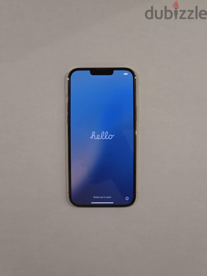 Apple - iPhone 13 Pro Max 1