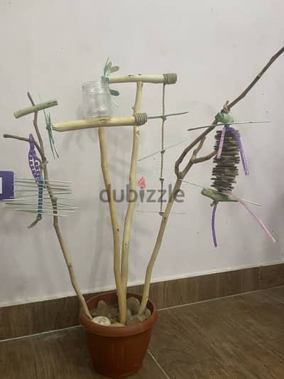 Perch pot natural wood and handmade