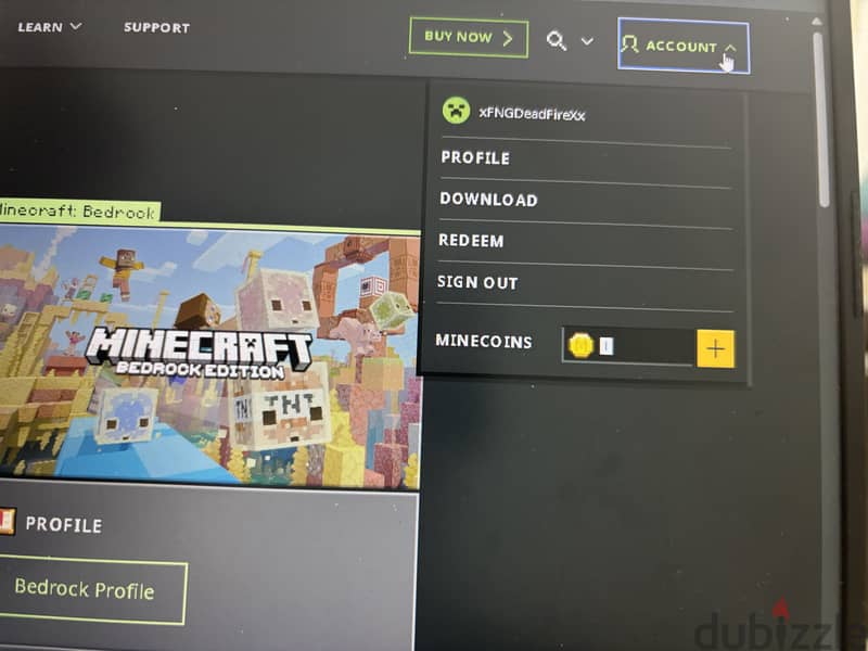 Minecraft java and bedrock edition 3