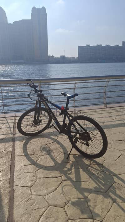 bicystar