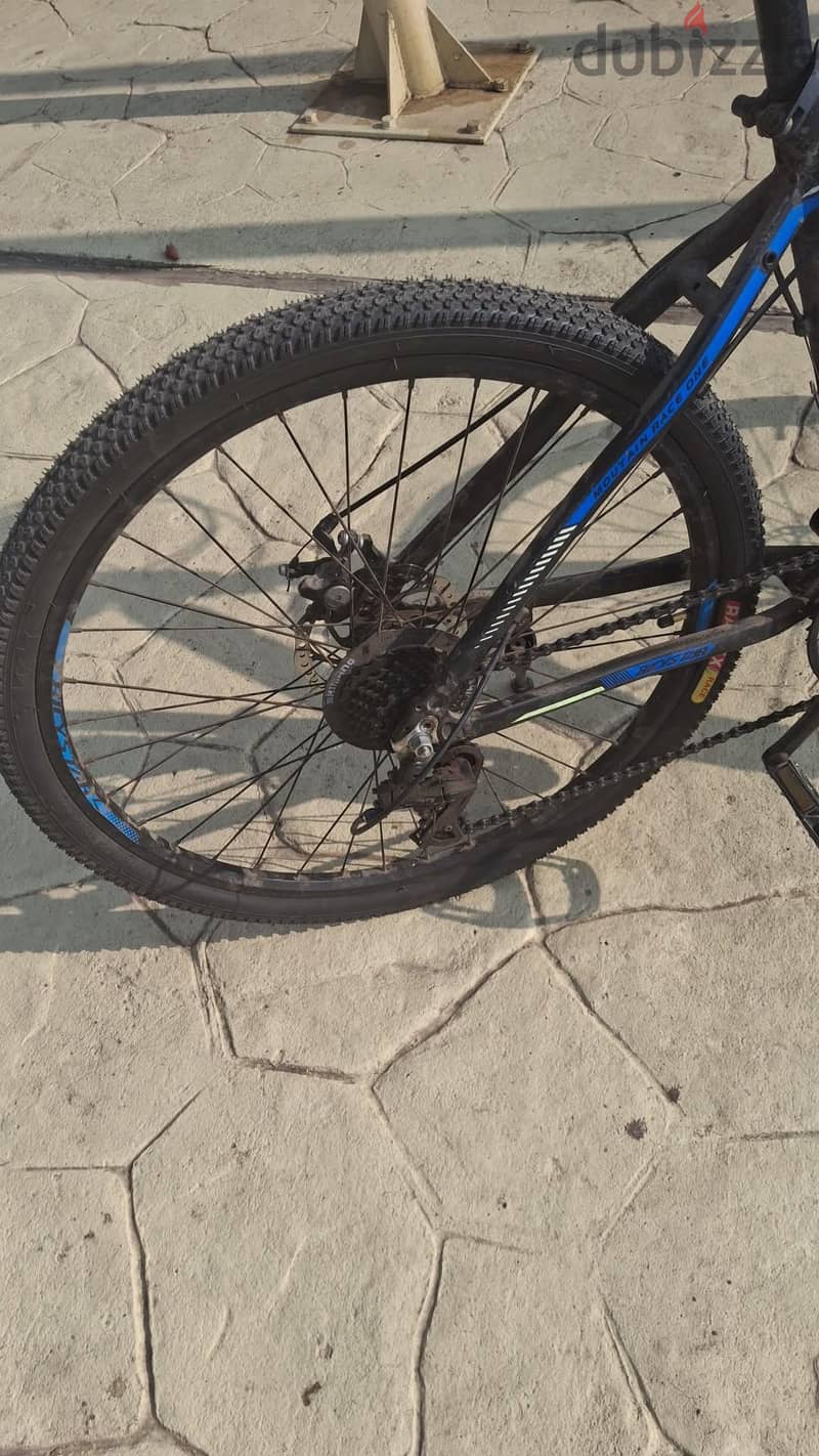 bicystar 1