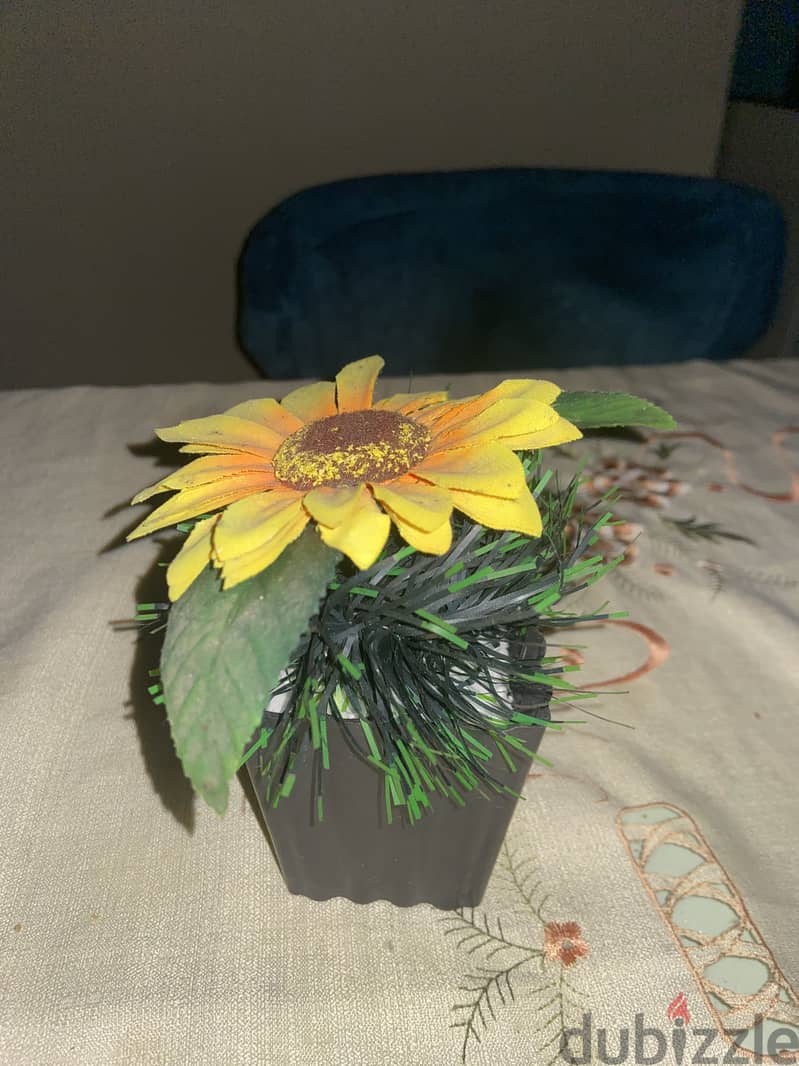 Plant pot 1