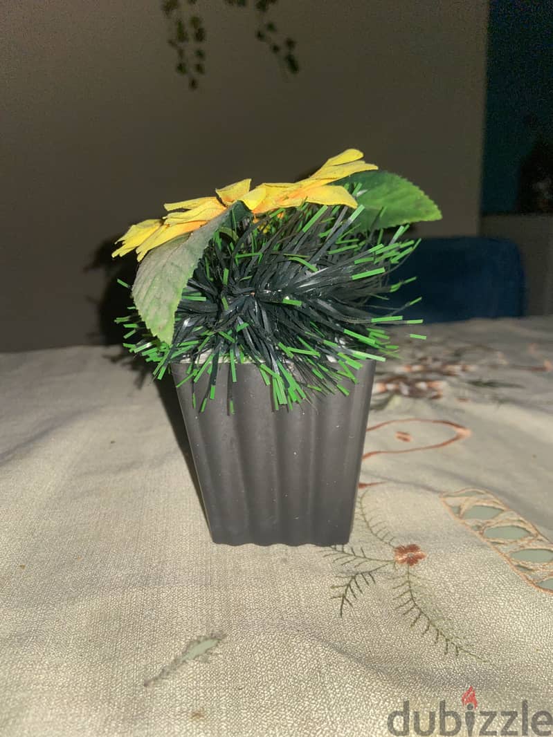 Plant pot 2
