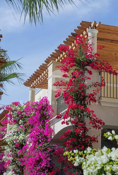 Studio Fully Finished Sea View For Sale Near Delivery With Installment - Veranda - Sahel Hasheesh